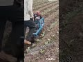 diasel Engine , hand Weeder #agriculture