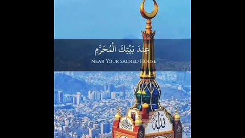 القارئ احمد النفيس