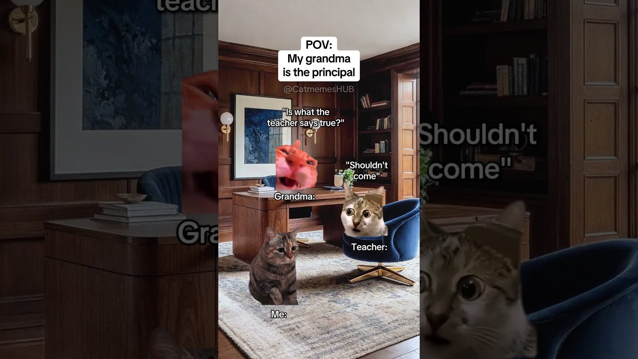 CAT MEMES My Grandma Is The Principal Catmemes Relatable Relationship