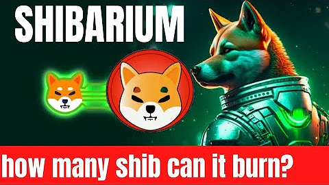 SHIBARIUM BURN: How Many Shib Tokens Can Shibarium blockchain burn?(Easy math)