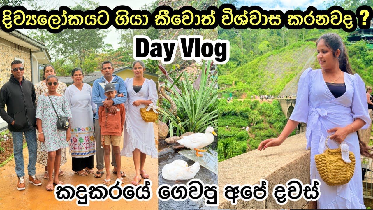 Husband එන්න ළගයිද 🥰 || ගෙවීගෙන යන සතුටු දවස් || Travel Vlog || My Diary