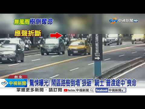驚悚曝光! 北市路樹凌空"狠砸" 騎士"普渡"路上喪命│中視新聞 20230830