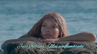 Julio Iglesias  -  Mal acostumbrado ( The Little Mermaid) (Dj Juhuuu Video Mix) (HD)