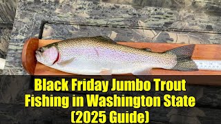 Black Friday Jumbo Trout Fishing in Washington State (2025 Guide)