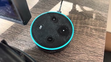 Alexa Notifying Me Of A Frost Advisory 10/17/24