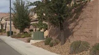 Report: Man who left dog in trash bag thought it was attacked by coyote