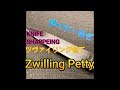 【切れ味抜群】ツヴィリングペティナイフの研ぎ方【ドイツ】【Zwilling】How to sharpen Zwilling chef knife.