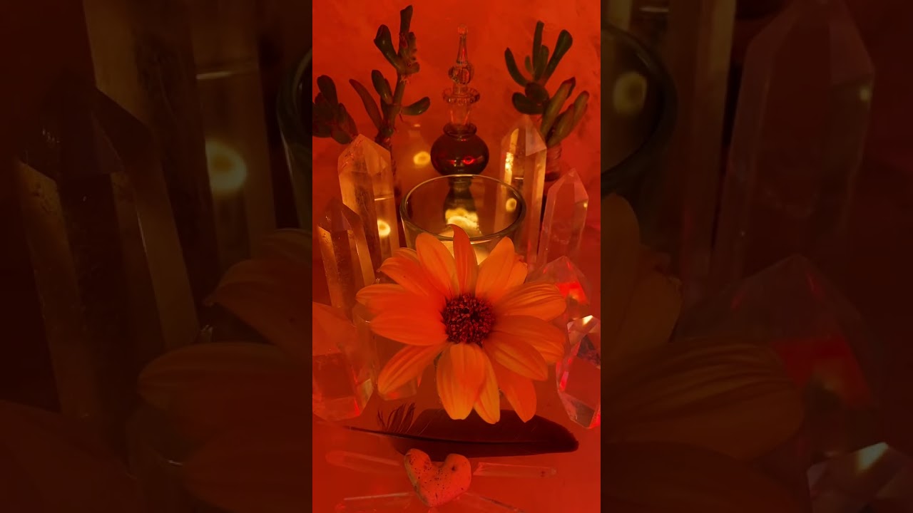 🐍Snakes in the Grass that🚨Stole Your Property Are Getting Caught🚔🚨🏡💰🔄🧹⚖️⚡️