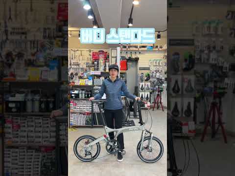 버디 스탠다드 (New Birdy Standard Disc 9SP)