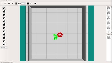 A Minimalistic Approach to Segregation in Robot Swarms - 2 class 3 lines #2