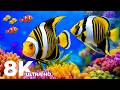 The Best 8K Ocean Serenity | Glowing Jellfyish, Tropical Fish &amp; Music for Deep Sleep