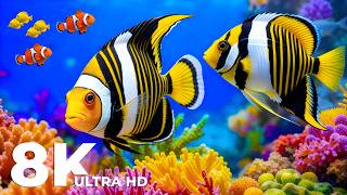 The Best 8K Ocean Serenity | Glowing Jellfyish, Tropical Fish & Music for Deep Sleep