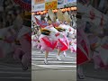 阿波おどり2023♪ #阿呆連 #阿波踊り