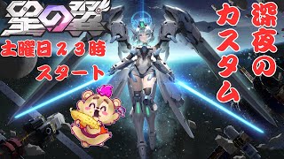 【#星の翼】土曜の夜は修行カスタムマッチ【Vtuber】