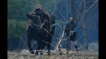 『黒の牛』（2016年度優秀映画企画／蔦哲一朗監督）
