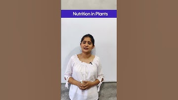 Nutrition In Plants | Why is it important? Class 7 science chapter 1