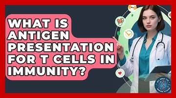 What Is Antigen Presentation For T Cells In Immunity? - All About the Immune System