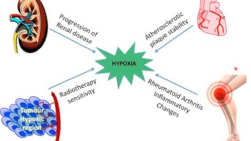 18a - BIOL 330 - Chapter 18, Gas Exchange - Part 1