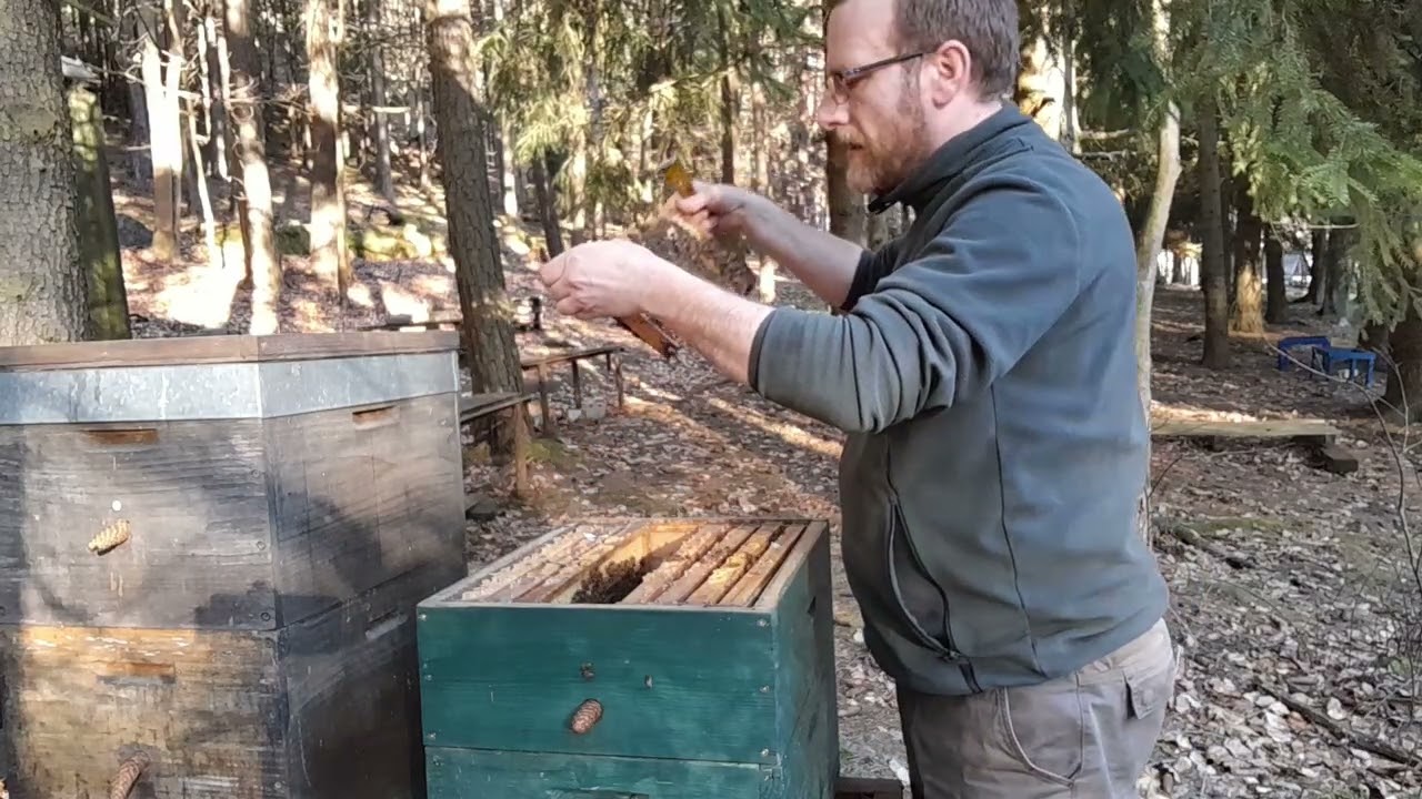 Tak zásob měly dost, jen jsem zbytečně plašil..