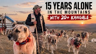 He Lived Alone in the Mountains for 15 Years With 20+ Kangals