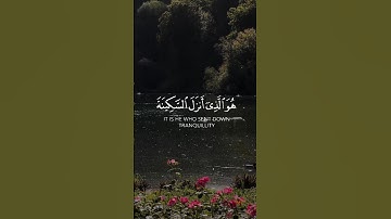 الآية ٤ من سورة الفتح بصوت القارئ عبدالرحمن مسعد