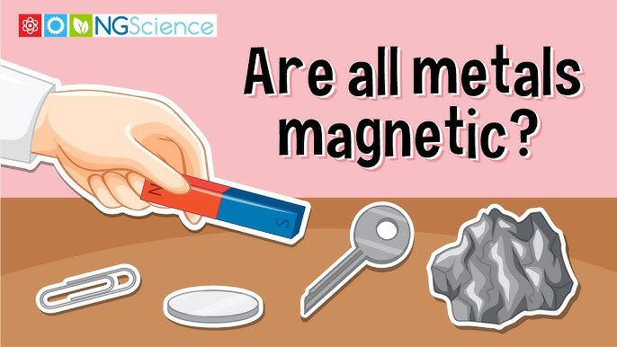 Poles of a Magnet 
