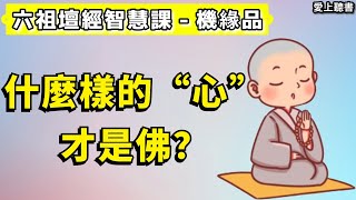 讀書-六祖壇經智慧課-機緣品/什麼是開佛知見？  #知識#學習#工作#有聲書#聽書#讀書