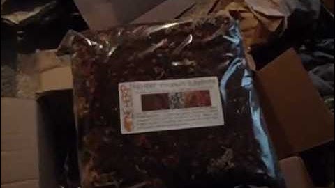 unboxing from neherp