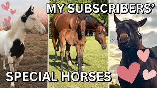 Happy National Day of the Horse!!!  (Honoring My Subscribers' horses!) by The Project Equestrian 1,001 views 5 months ago 3 minutes, 41 seconds