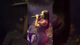 Download Lagu Erika Syaulina - Camelia MP3