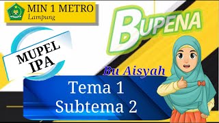 IPA : Kelas 4 Tema 1 Subtema 2 [Bupena]