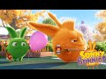 SUNNY BUNNIES | CAMPIONE DARTS | Cartoni animati divertenti per bambini | WildBrain