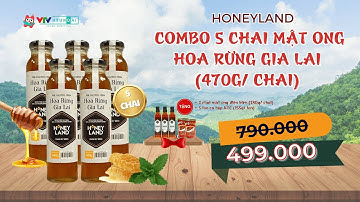 [VTV-HYUNDAI] HONEYLAND - Combo 5 Chai Mật Ong Hoa Rừng Gia Lai (470g/ chai) + Kèm quà tặng