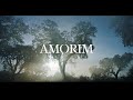 Amorim: 150 anos de história