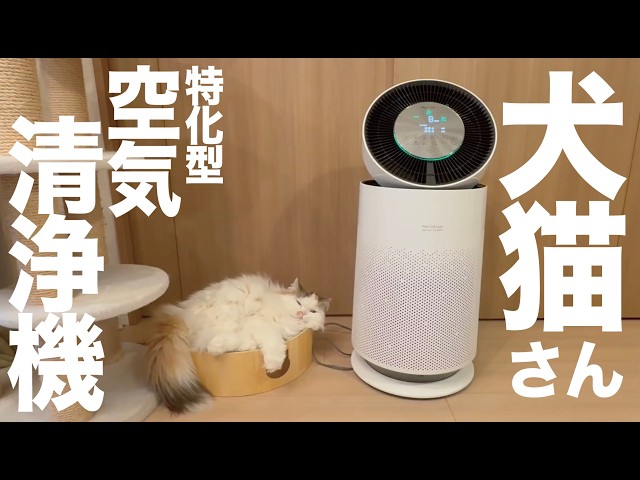 Pety 空気清浄機 LG's pet-specific air purifier is incredibly appealing and