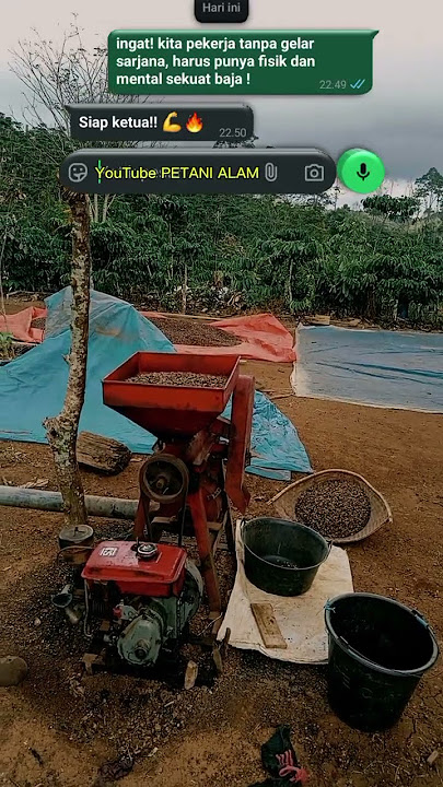 suasana hari ini giling kopi