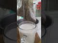 listo leche de alpiste nutrición real 😋💪💚
