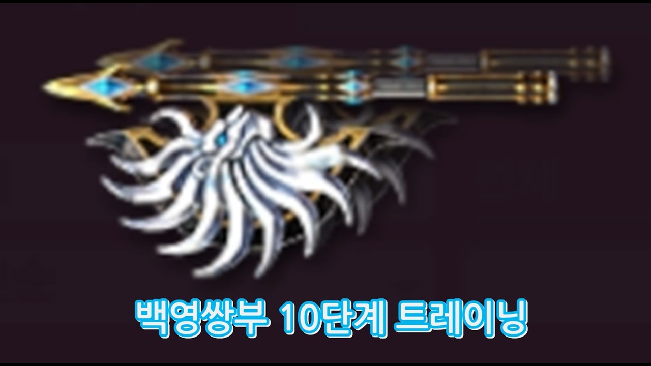 [카스온라인] 백영쌍부 10단계 트레이닝(#cso #카스온라인 #카스 #백영쌍부 #좀비시나리오)