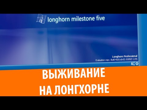 Выживание на Windows Longhorn Build 4020