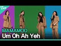 마마무(MAMAMOO) - 음오아예(Um Oh Ah Yeh) | KOREA-UAE K-POP FESTIVAL