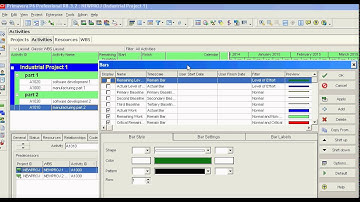 Primavera P6 showing the project baseline as bars
