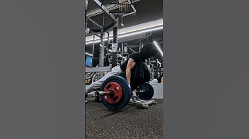 Chest Supported Barbell Row Lat Focus