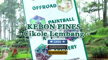 KEBON PINES CIKOLE LEMBANG. Wisata Pohon Pines  di Lembang.