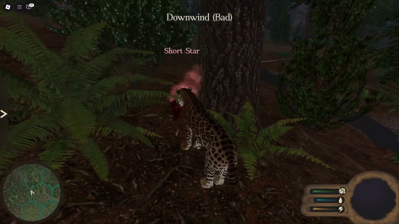 Surviving for One Year in Ecos: La Brea