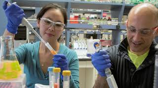 Wustl Division Of Endocrinology, Metabolism & Lipid Research - Research At Wustl Resimi