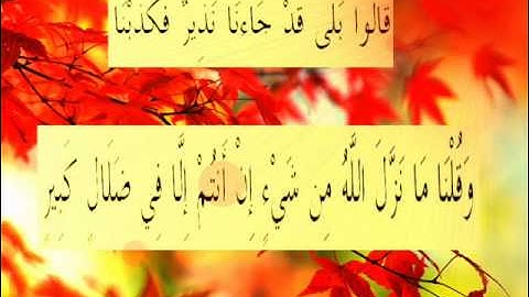 القران الكريم سورة الملك الأية 9.wmv