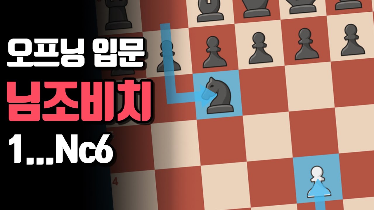 체스오프닝 입문 5분 가이드 | 무브오더 트릭키 오프닝 1.e4 Nc6 님조비치 디펜스