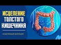 Мощное исцеление толстого кишечника через меридиан🎧