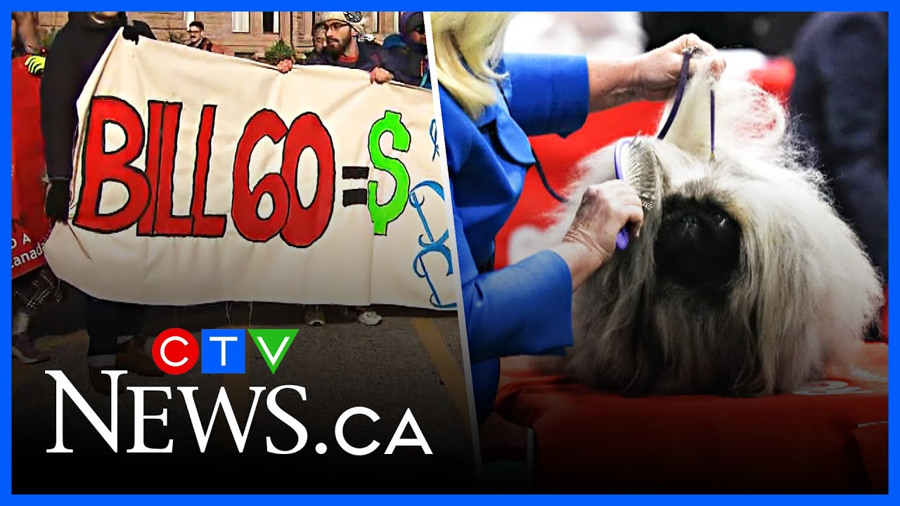 Final Five: Bill 60 passes and Canada’s top dog