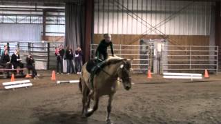 Triple M Abigail Old Compulsories Round 1 Vaultcanada Individual Trot D 2014 Cvi Canada Cup